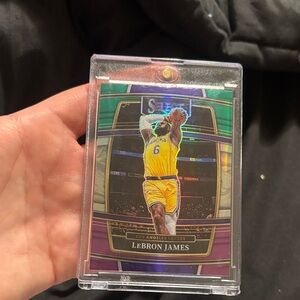 Panini Lakers Basketball Card with Purple and Gold